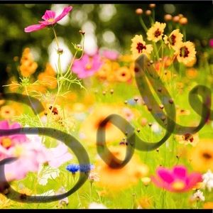 Buy 2, get 3rd item free